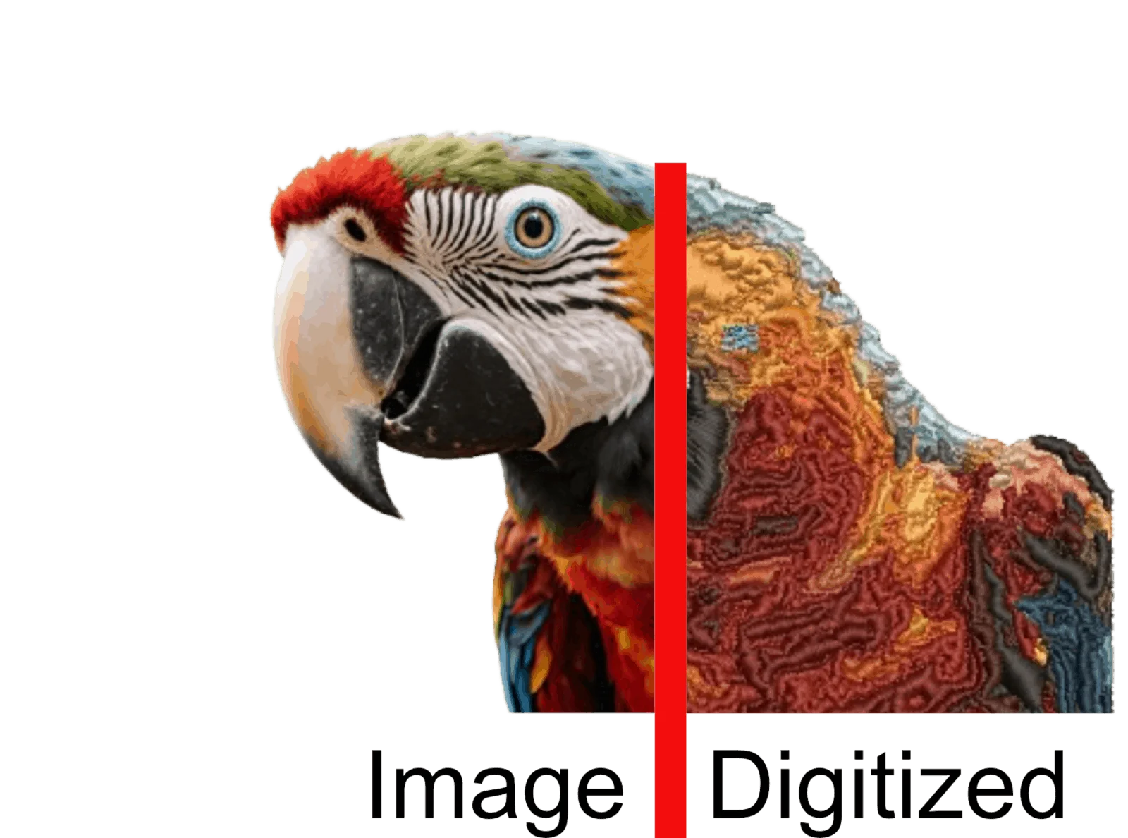 Digitized File